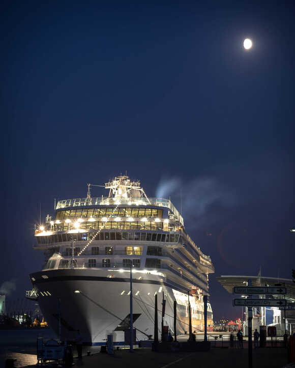 Viking Star