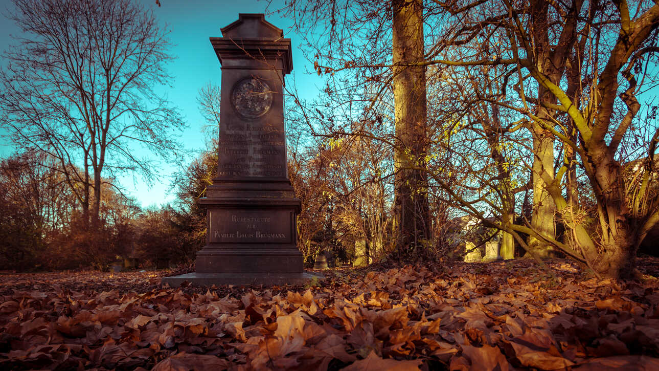 Herbst im Westpark