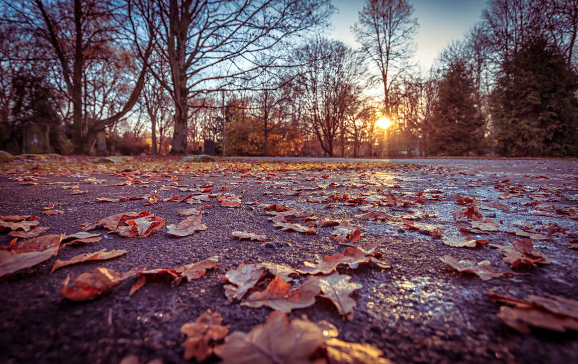 Frost und Sonne